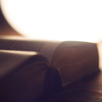 nuova rassegna 'cinescrittori' da scena image pexels by pixabay